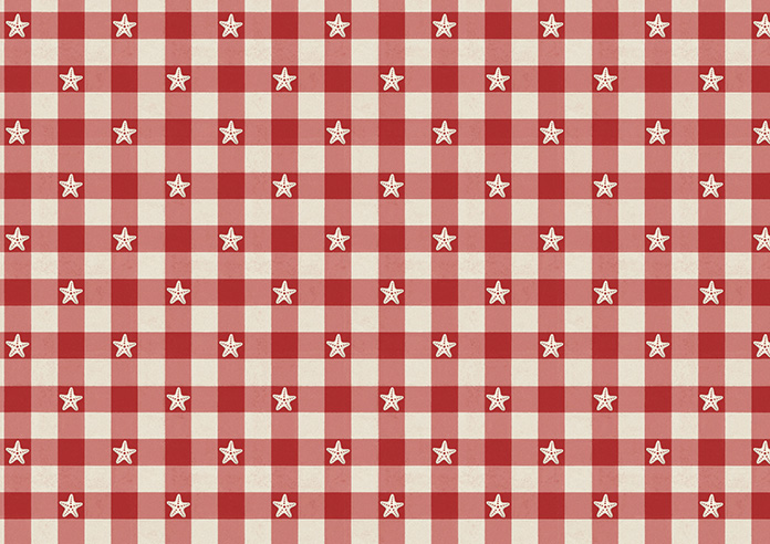 Whaley Great, Gingham Star Regatta - Twist&Fit Roman Blind - Image 7